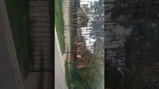Район комунар, г Владимир