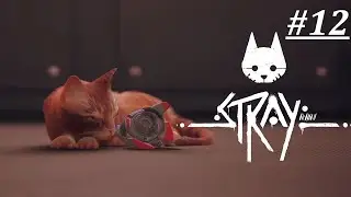 Прохождение игры Stray ФИНАЛ. СПАС ВСЕХ РОБОТОВ ???