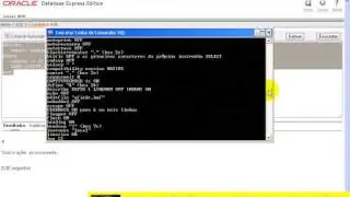 aula 2409 PL SQL dbms output put line