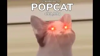 POPCAT(АЙМ ОЛВЭЙС КАМБЭК)5