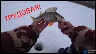 Рыбалка в Темиртау.