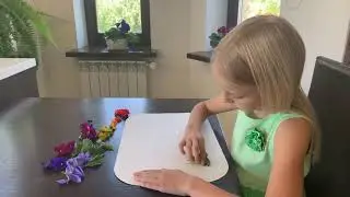 Рисуем цветами и травами методом растирания по бумаге