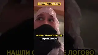 ЭТО УЖАС! Уборка в треш-квартире. @IgorMedov