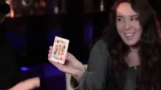 Dani's Collection of Weapons