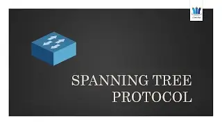 What Is Spanning Tree Protocol ?