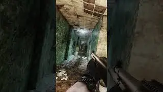 MY FAV BUDGET GUN 