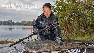 Девушка тащит сома / Wallerdrill