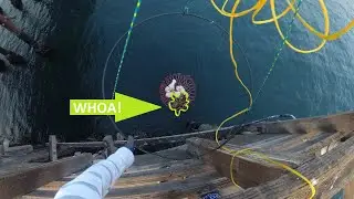 Crab Fishing Newport Beach California - Weird Pier Catch!