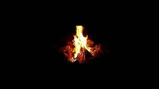 Creepy Camping / 2 Sentence Horror Story