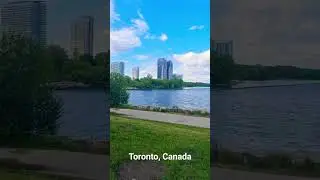 Summer in Toronto 🍁
