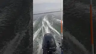 #fishing  Залив Анива....