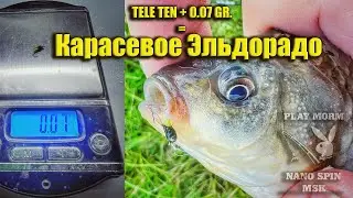 НИМФИНГ  КАРАСЁВОЕ ЭЛЬДОРАДО 2 ИЮЛЯ