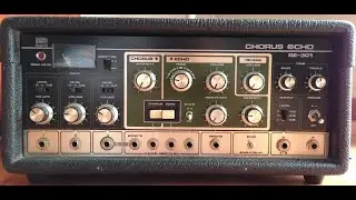 Fake Space Echo Tone with Boss Pedals