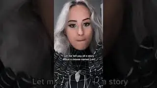 #pov