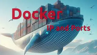 Docker Containers get container IP address and port mapping