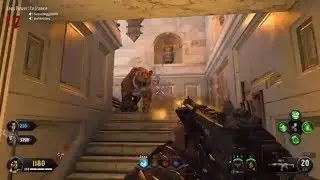 "IX" ZOMBIES - FIRST ATTEMPT AT TREYARCH GAMEPLAY PLAYTHROUGH! (Black Ops 4 Zombies IX)