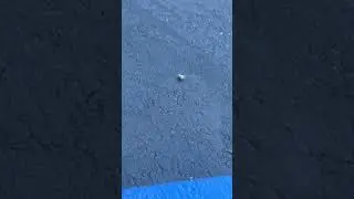 interstellar meme #interstellar #bee #memes #fyp #foryou #viral