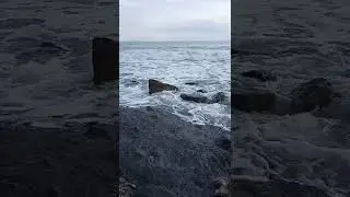 #Shorts Волшебный шум моря.