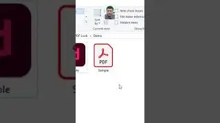 How to lock your pdf and restrict printing, downloading, editing and copying 