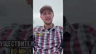 Have has в английском