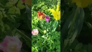 Weather in May