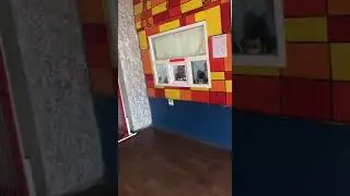 У Кропивницькому побилися директор спортшколи і батьки учня