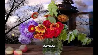 PARABÉNS A VOCÊ - FÁTIMA