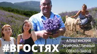 Formula Мыла - 