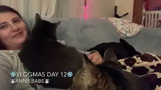 ❄️VLOGMAS❄️ 2022 Day 11-18🎅🏼New Avatar Movie, Lots Of Snow, New Rug, Pets, Christmas Decor, & More!