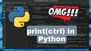 What Happens if you type print(ctrl) in PYTHON