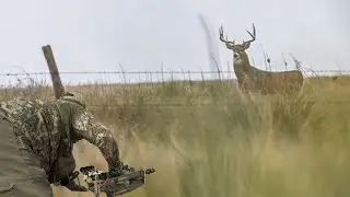 WE FOUND THE GIANT FROM LAST YEAR!!! | Bow Hunting From The Ground | Spot and Stalk