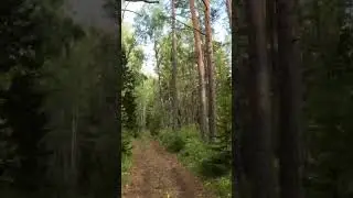 10 сентября 2023 г.