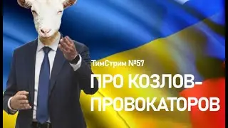 Про козлов-провокаторов. ТимСтрим №57
