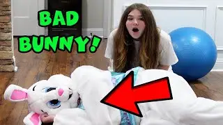 THE BAD BUNNY IS IN MY HOUSE!