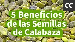 5 Benefits of Pumpkin Seeds | Food Science
