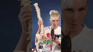 Основная причина "отложения" жира в области талии