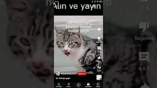LÜTFEN YAYALIM HAYVANLARI KORUYALIM😔😔😔
