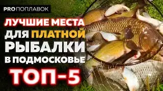 Платная рыбалка в Подмосковье 2020. Лучшие места в Московской области по версии Юрия Радугина.