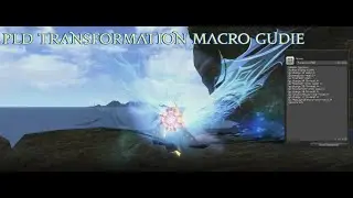 PLD Transformation Macro Guide | FFXIV 2021