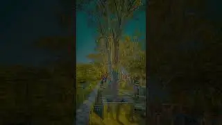 sadd