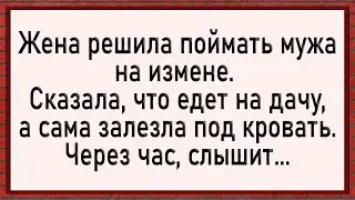 Как жена устроила мужу засаду! Сборник анекдотов! Юмор!