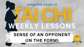 Developing a Sense of an Opponent in the Tai Chi Form