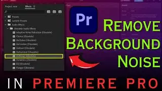 Remove BACKGROUND NOISE in Video (Premiere Pro)