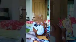 oh noh😱 my angry dog 🐶 very bad 🐕😔 that's mine coffee ☕ bad dog 