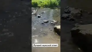 Лучший ответ 