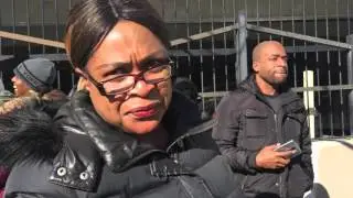 Cow running loose on Jamaica Ave