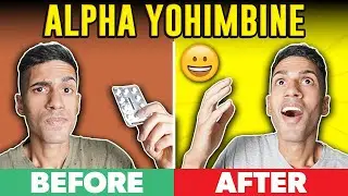 Alpha Yohimbine Is My New Favorite Nootropic!