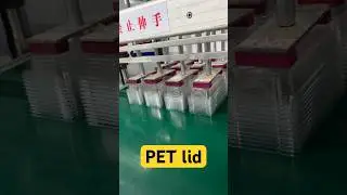 Plastic lid machine Pet paper tray lid forming machine