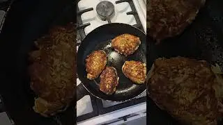 Кабачкові оладки #kharkiv #cat #food