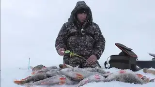 НАШЕЛ ЛОГОВО ОКУНЕЙ НА КАМЕРУ И НАТАСКАЛ ЦЕЛУЮ КУЧУ ЗА 15 МИНУТ!! ХИТРЫЕ ОКУНИ, ДЕРЗКИЕ ПОКЛЕВКИ!!